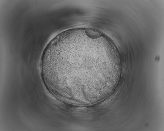 X0000093771467200711061123