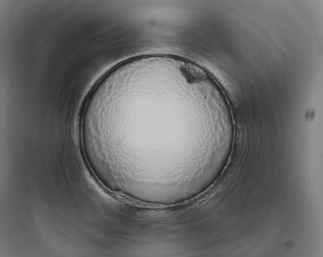 X0000093771468200711061123