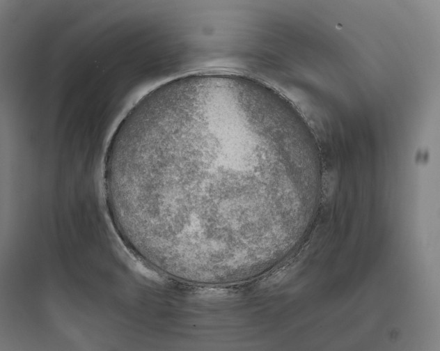 X0000093771470200711061123