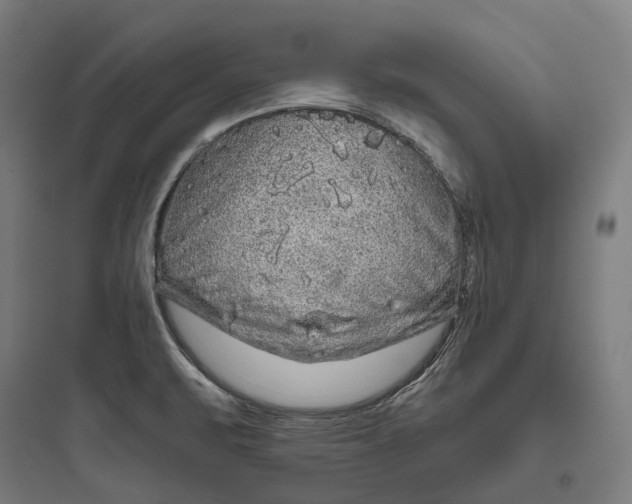 X0000093771471200711061123