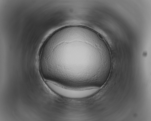 X0000093771472200711061123