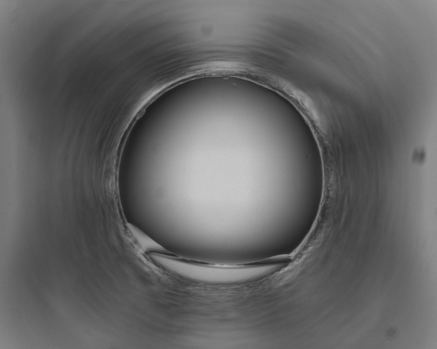 X0000093771473200711061123