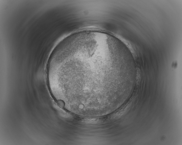 X0000093771474200711061123