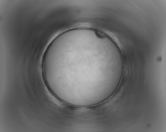 X0000093771475200711061123