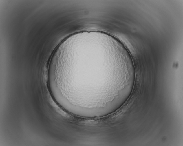 X0000093771476200711061123