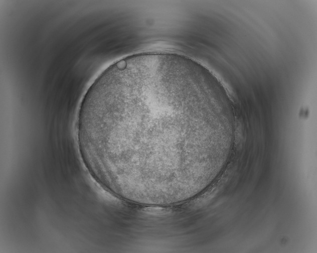 X0000093771478200711061123