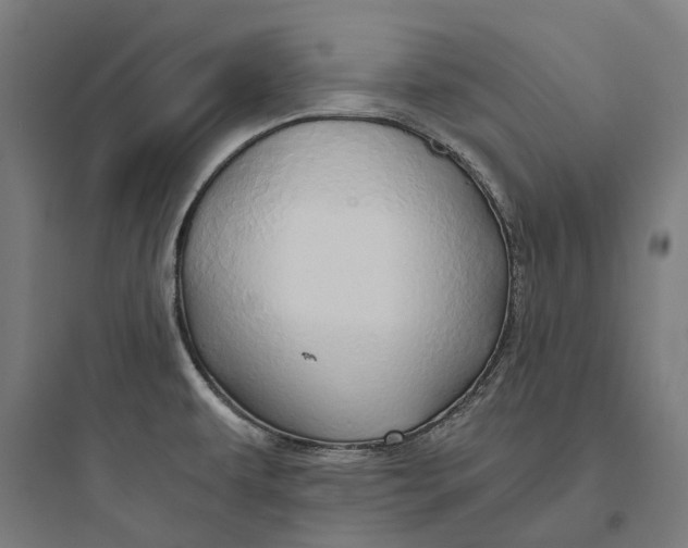 X0000093771479200711061123