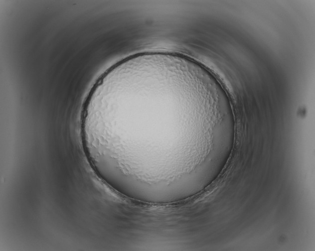 X0000093771480200711061123