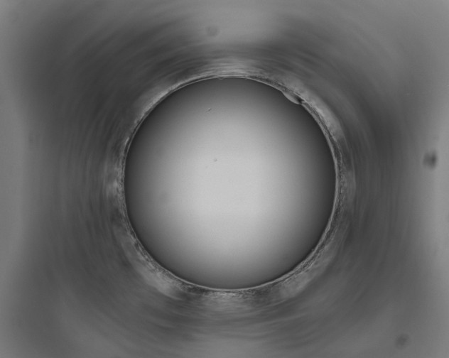 X0000093771481200711061123