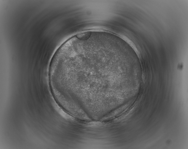 X0000093771482200711061122