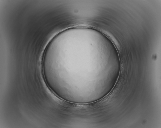 X0000093771483200711061122