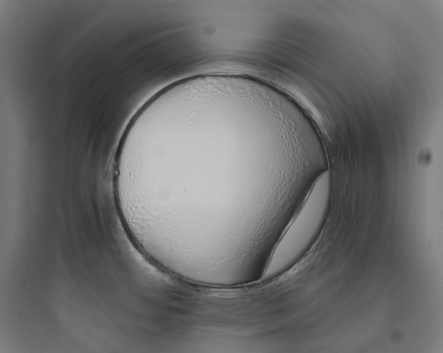 X0000093771484200711061122