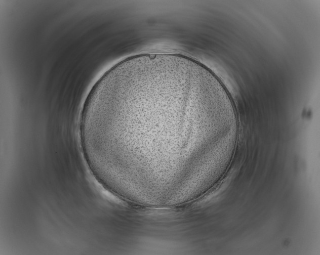 X0000093771486200711061122