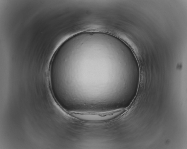 X0000093771487200711061122