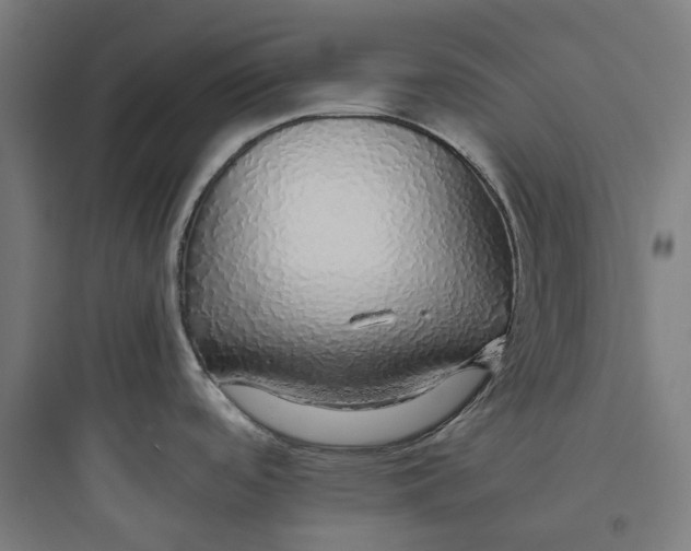 X0000093771488200711061122