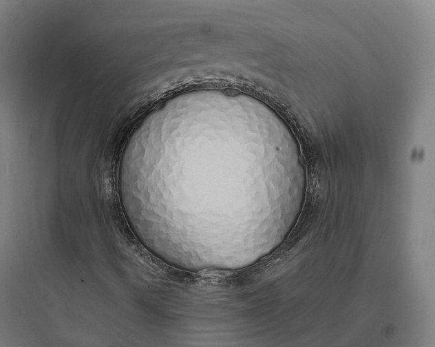 X0000093771490200711061121