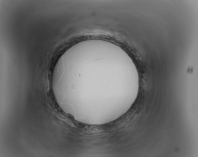 X0000093771493200711061121