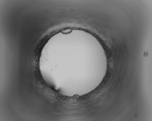 X0000093771495200711061121