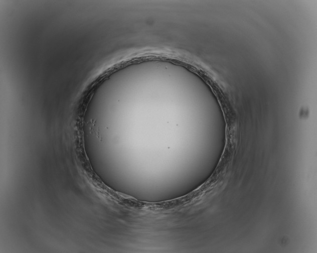 X0000093771496200711061121