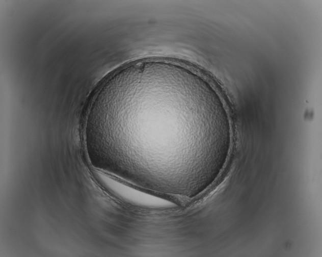 X0000093771497200711061122