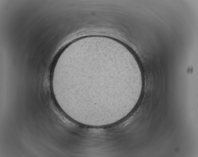 X0000093771498200711061122