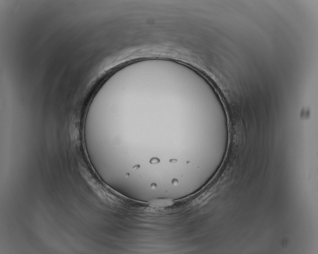 X0000093771499200711061122