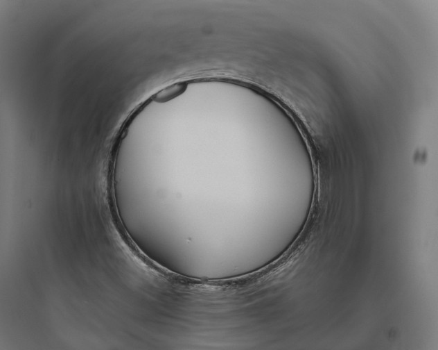 X0000093771500200711061122