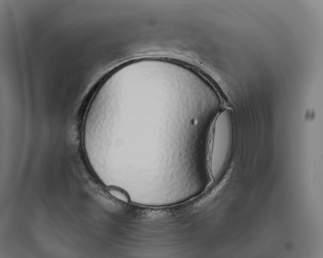 X0000093771501200711061122