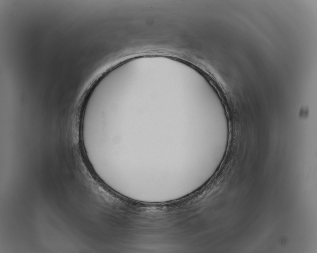 X0000093771504200711061122