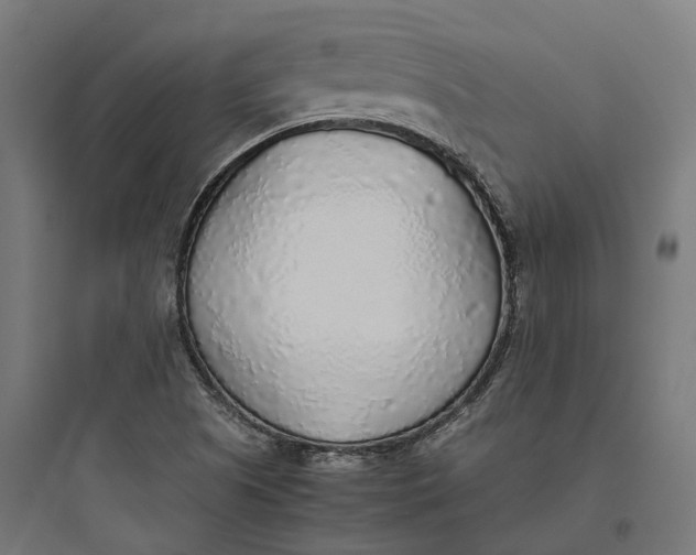 X0000093771505200711061122