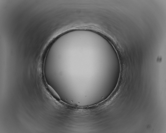 X0000093771506200711061122