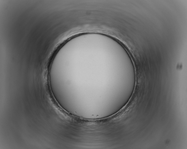 X0000093771507200711061122