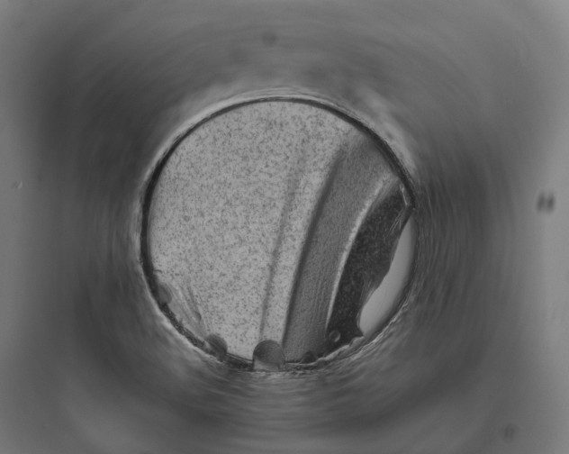 X0000093771508200711061122