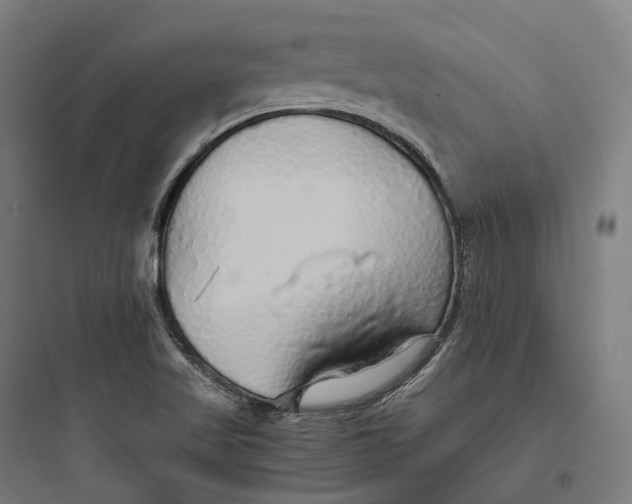 X0000093771509200711061122