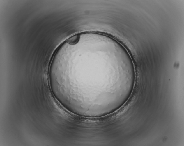 X0000093771513200711061122