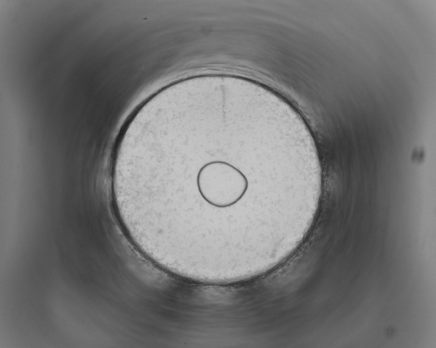 X0000093771514200711061122