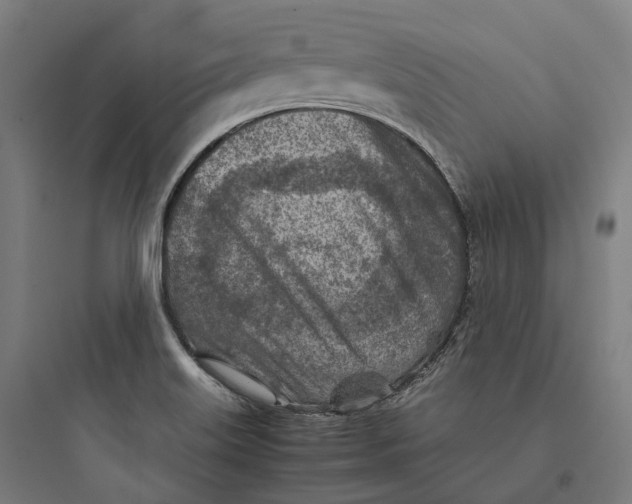 X0000093771515200711061122