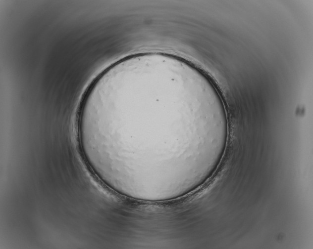 X0000093771517200711061122