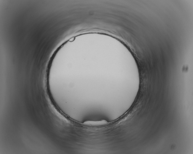 X0000093771518200711061122