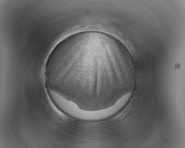 X0000093771519200711061122