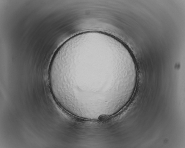 X0000093771521200711061122