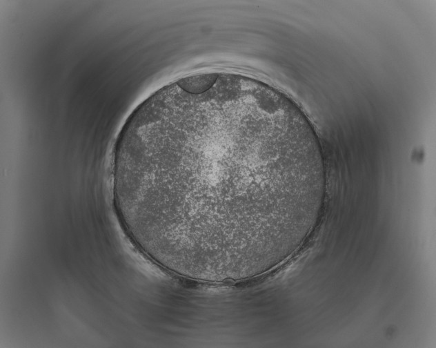 X0000093771522200711061122