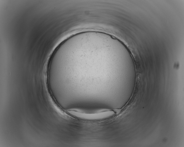 X0000093771523200711061122