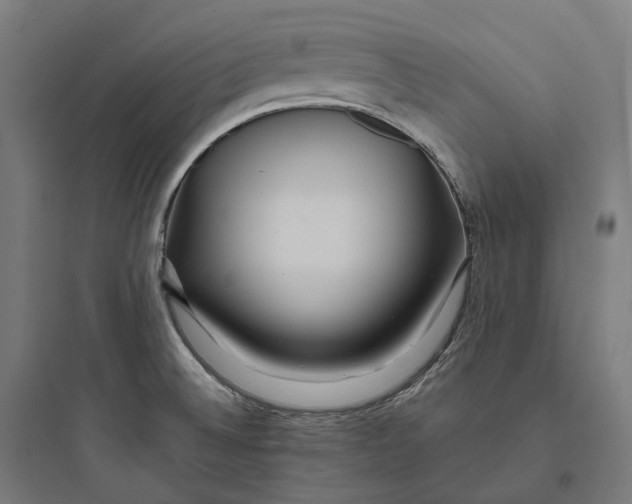 X0000093771524200711061122