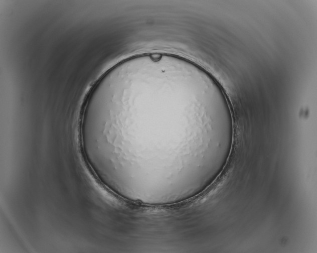 X0000093771525200711061122