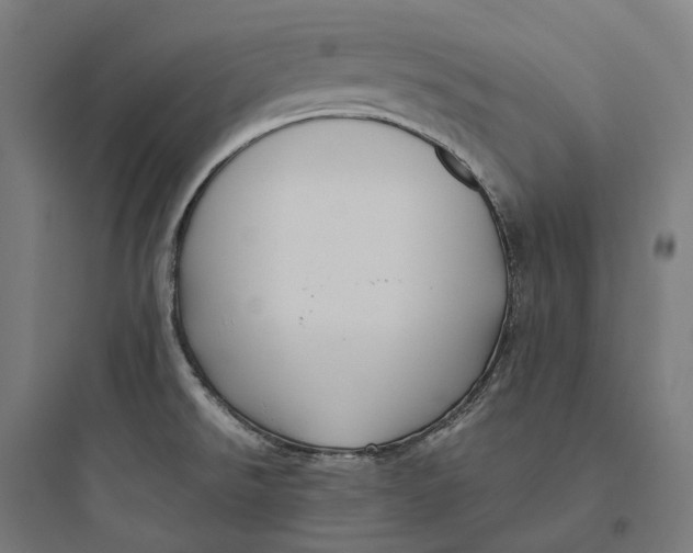 X0000093771526200711061122