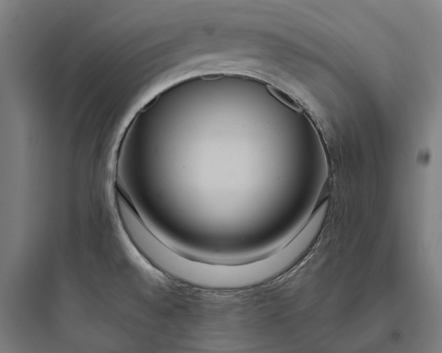 X0000093771528200711061122