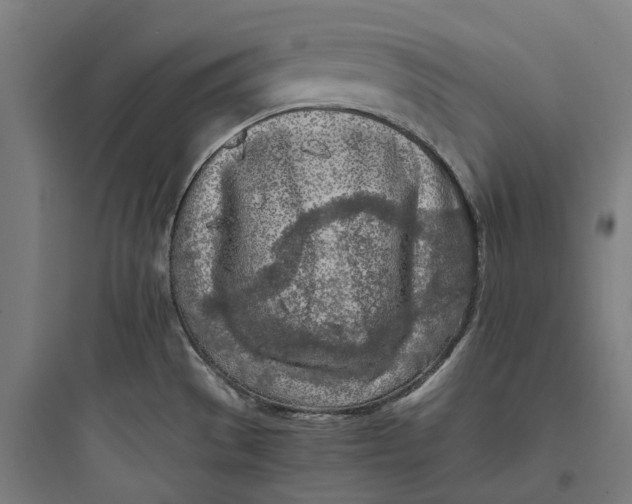 X0000093771529200711061122