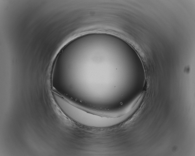 X0000093771530200711061122