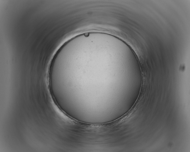 X0000093771531200711061122